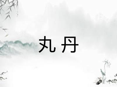 丸丹