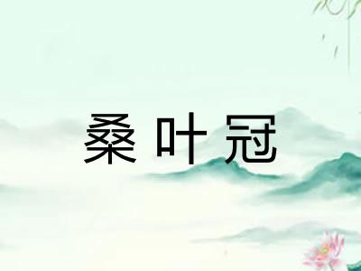 桑叶冠