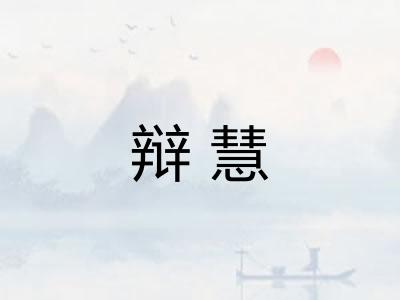 辩慧