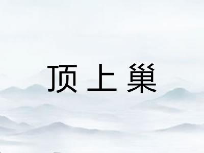 顶上巢