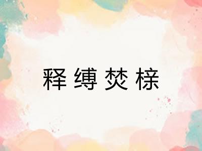 释缚焚榇