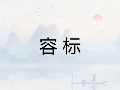 容标