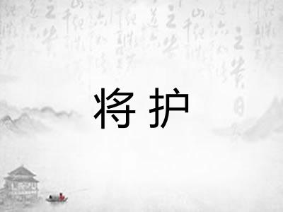 将护