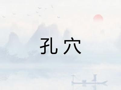 孔穴