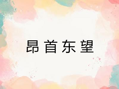 昂首东望